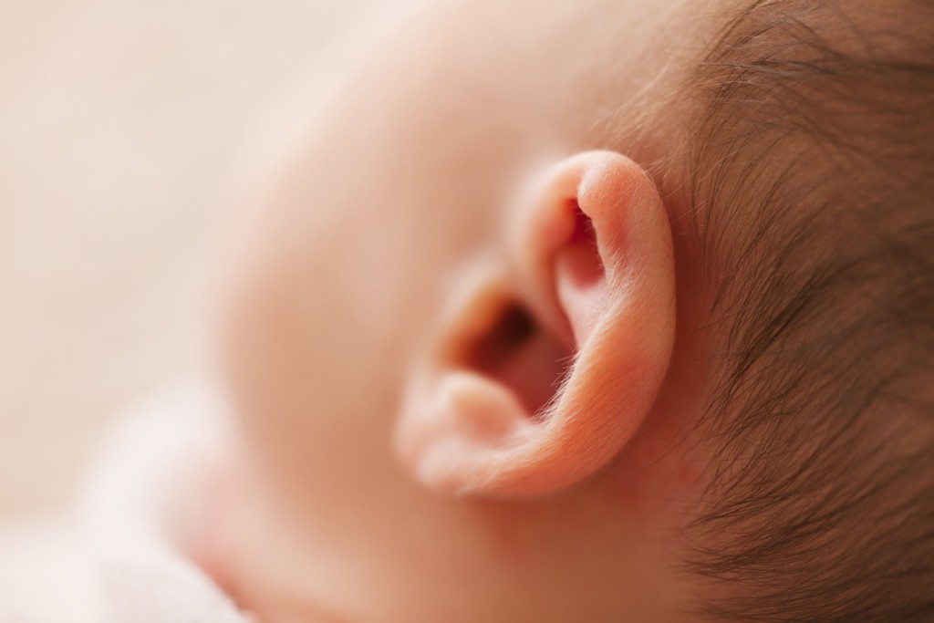 Oreille de bébé