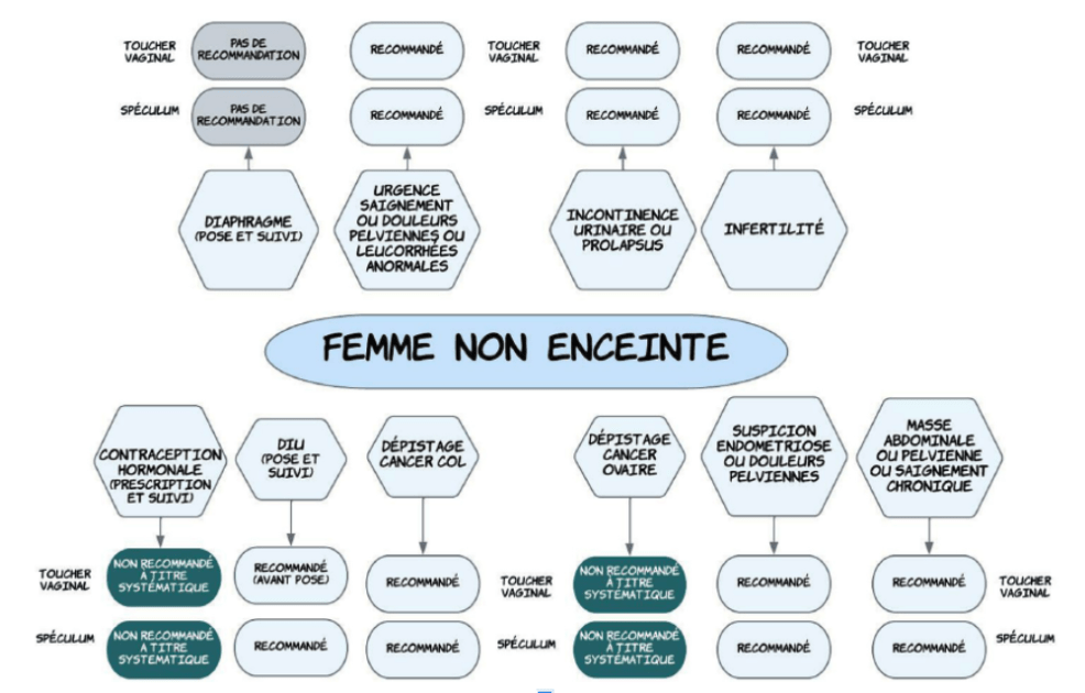 Examen pelvien (speculum et:ou toucher vaginal)_Escience.fr
